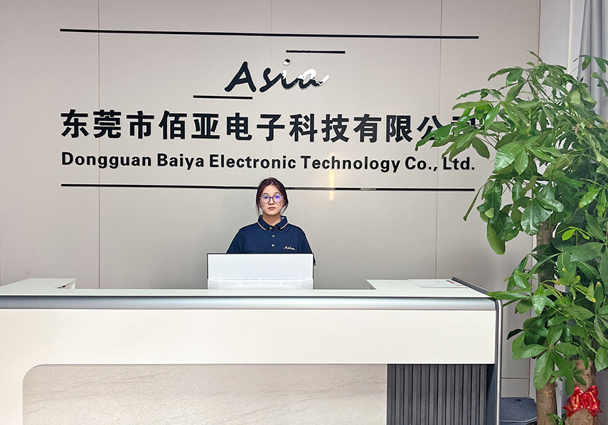 Baiya Electronic Technology